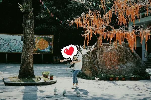 最好的旅程